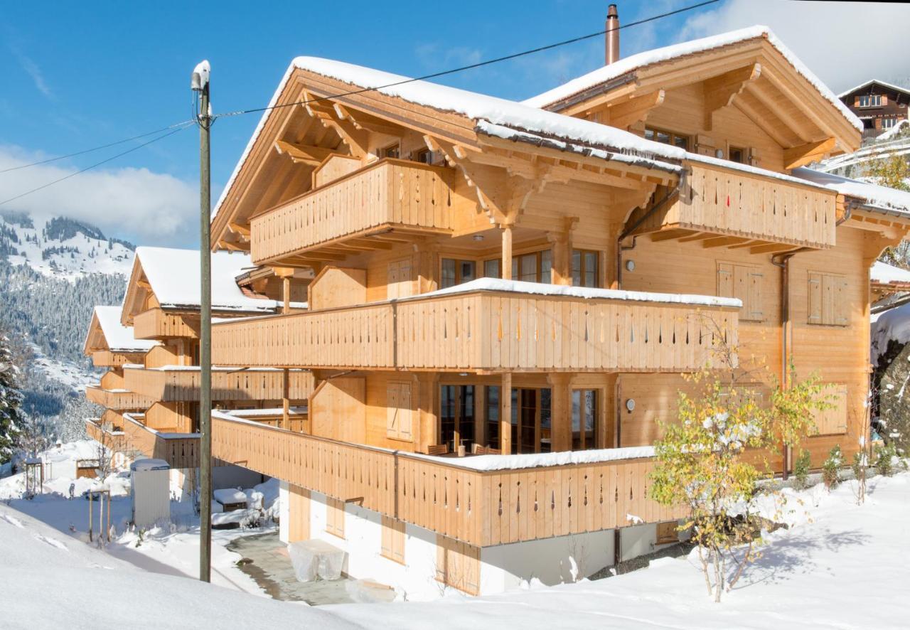 Panoramapark Soleil Chalet C Βένγκεν Εξωτερικό φωτογραφία