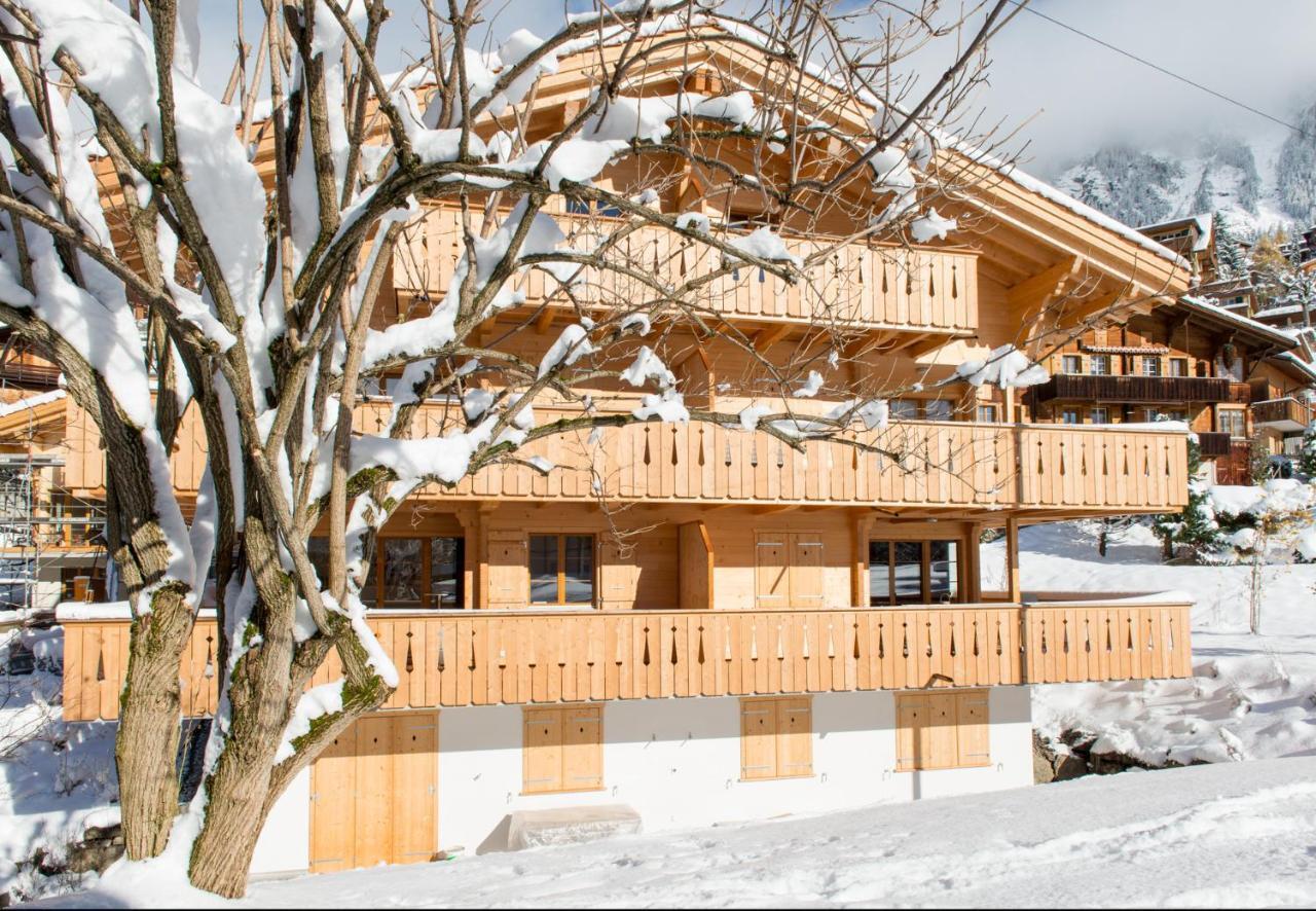 Panoramapark Soleil Chalet C Βένγκεν Εξωτερικό φωτογραφία